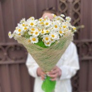 ромашки для Наташки ромашки для Наташки