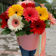 Букет герберы  в цилиндре