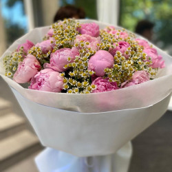 ПИОНЫ  С Ромашкой ПИОНЫ  С Ромашкой