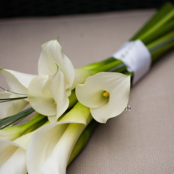 Утренняя нежность Утренняя нежность