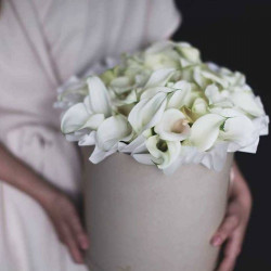 Утренняя нежность Утренняя нежность