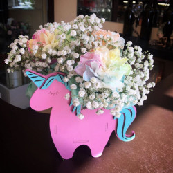 Радуга Радуга