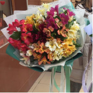 Веселые бабочки