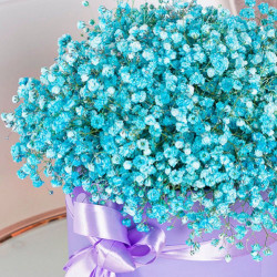 Радуга Радуга