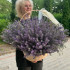 Лаванда свежая 