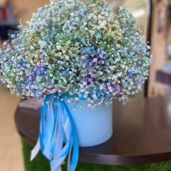 Гипсофила в цилиндре Гипсофила в цилиндре