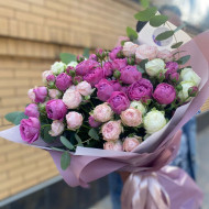 "Мисс Бомбастик" "Мисс Бомбастик"