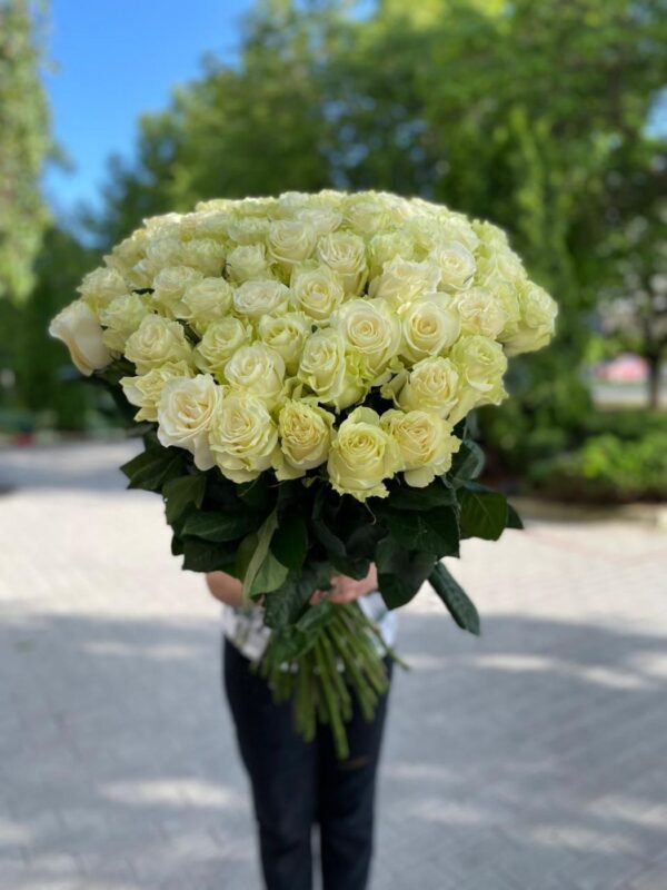 51 роза Эквадор