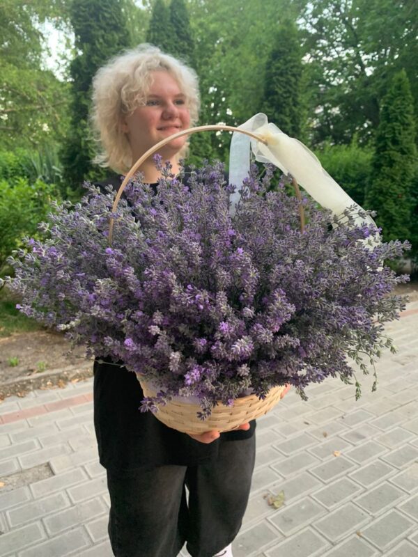 Лаванда свежая